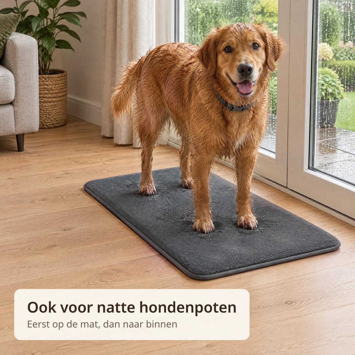 Hond met natte poten staat bij de tuindeur op de grijze droogloopmat