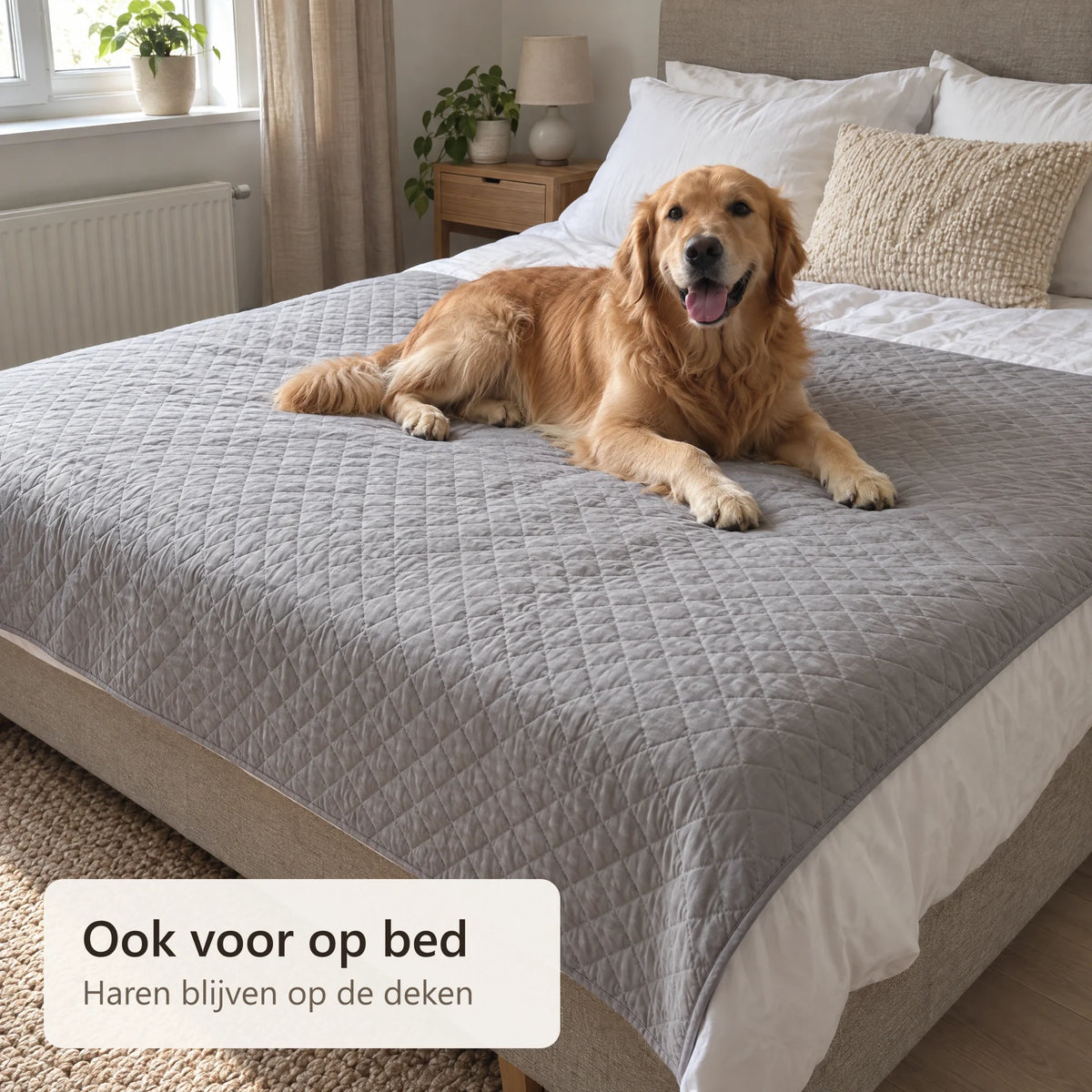 Lichtgrijze beschermer op een bed met een hond
