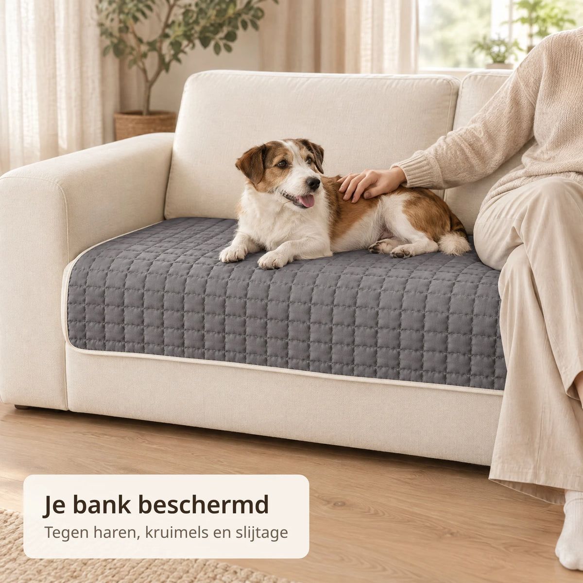 Hond ligt op de donkergrijze bankbeschermer terwijl iemand ernaast op de bank zit