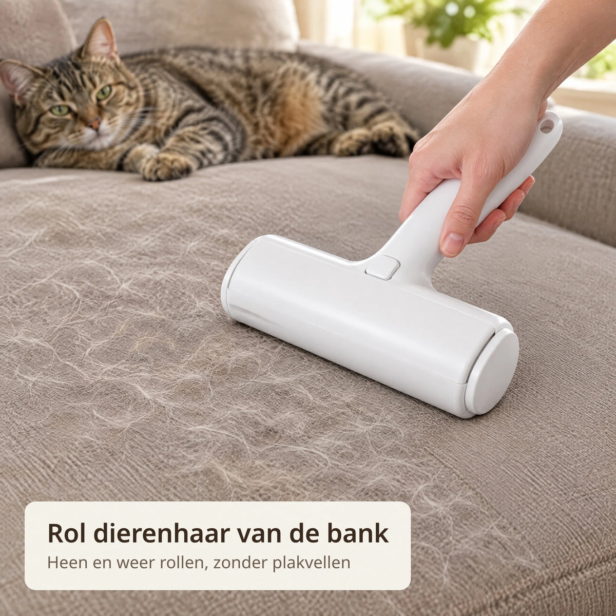 Hand rolt de huisdierhaar verwijderaar over een bankkussen vol kattenharen, op de achtergrond ligt een kat