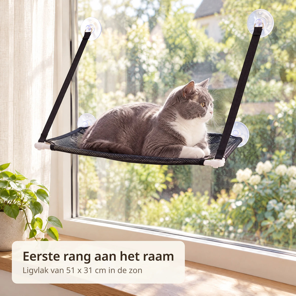 Grijs-witte kat ligt op de zwarte kattenhangmat aan het raam en kijkt naar buiten