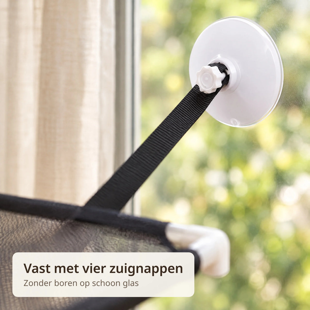 Close-up van een witte zuignap op het glas met de zwarte nylon ophangband van de kattenhangmat
