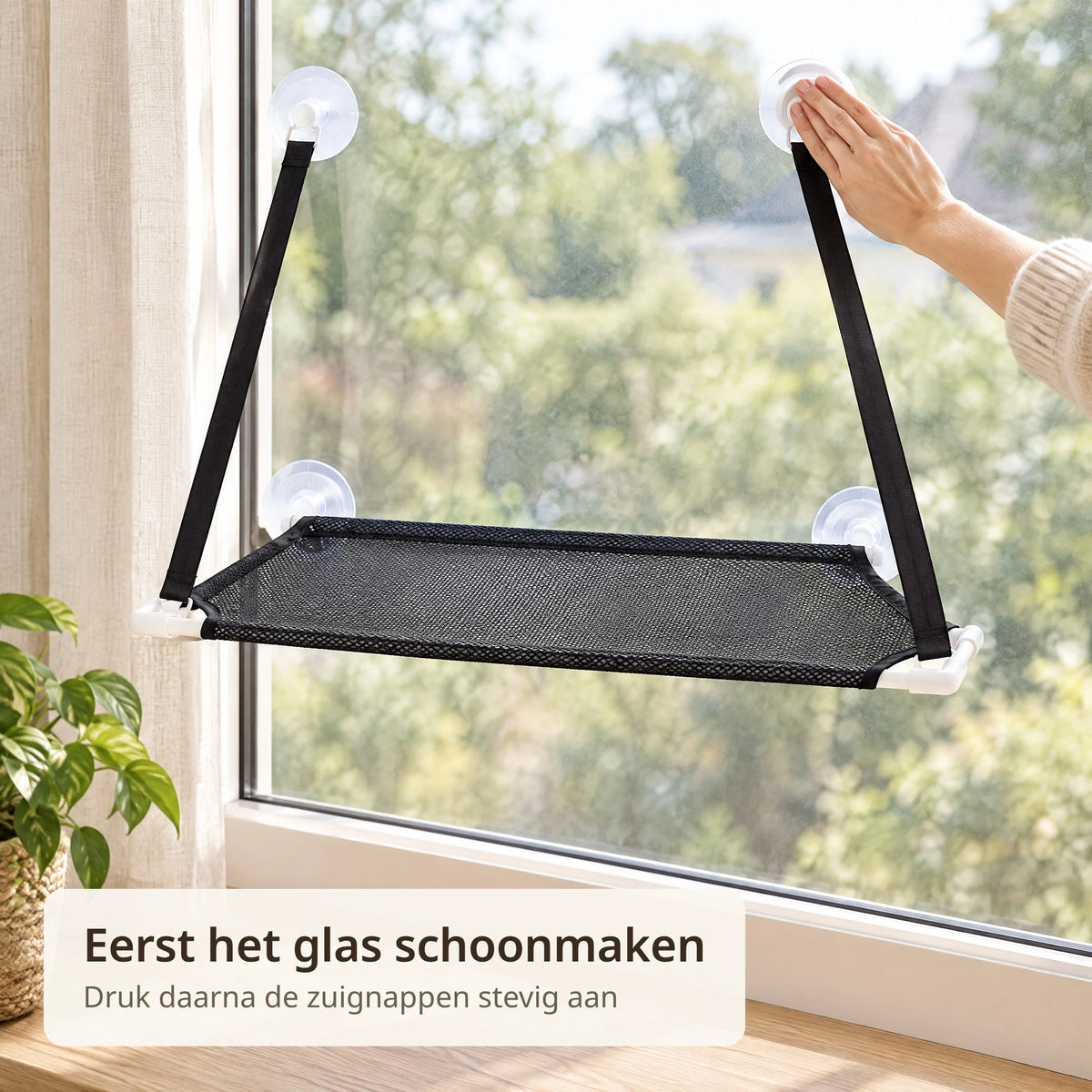 Hand drukt een zuignap van de kattenhangmat stevig aan op een schoon raam
