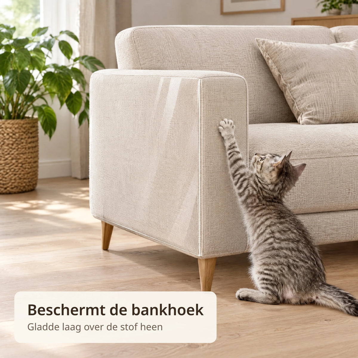 Kitten zet een poot tegen de hoek van een bank die met transparante krabbescherming is beplakt