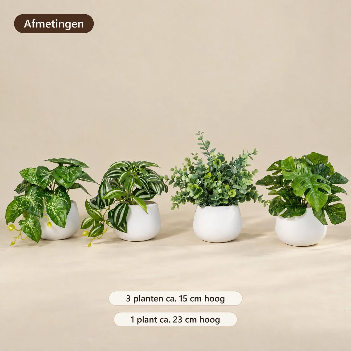 Afmetingen: drie planten van 15 cm en één van 23 cm
