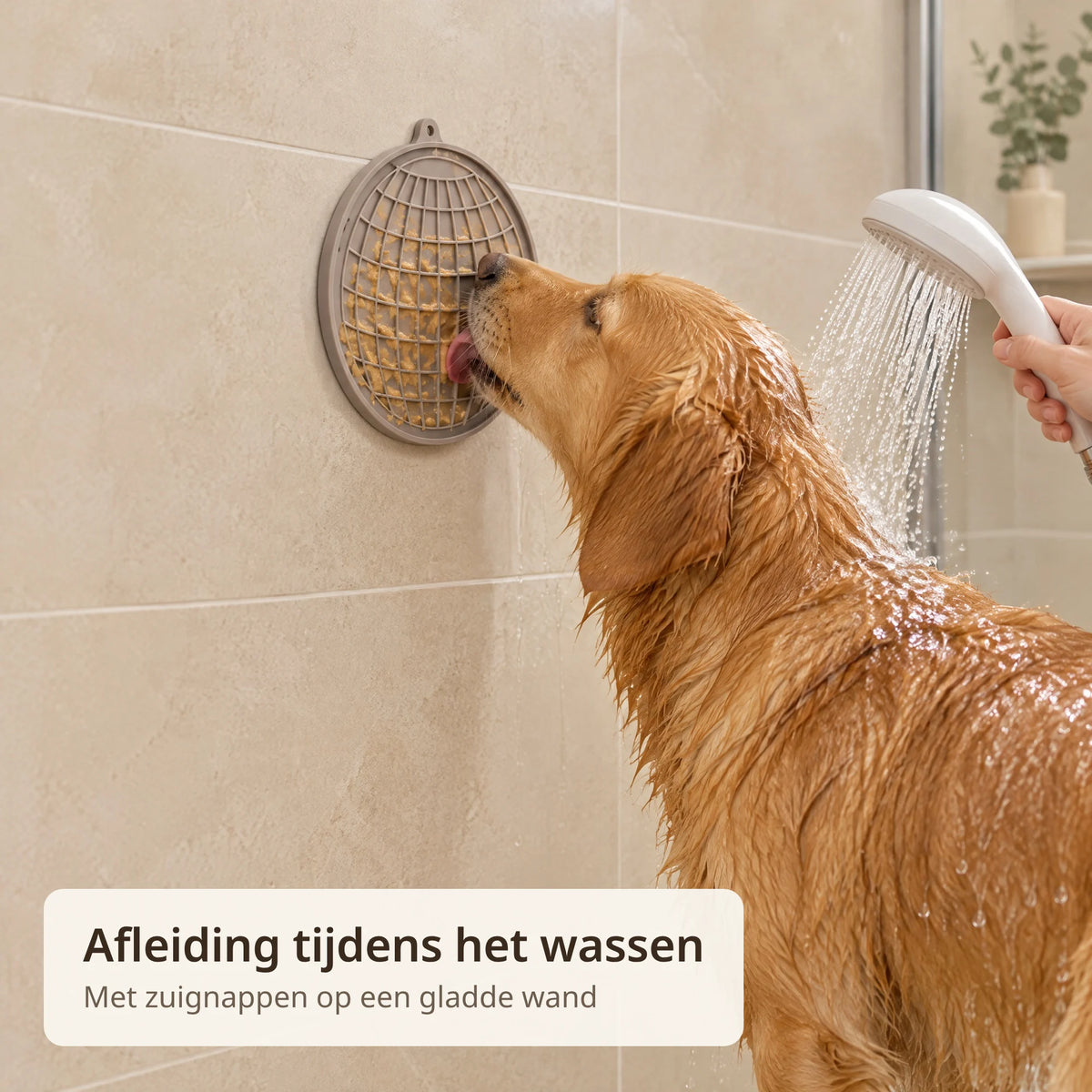 Hond likt aan de grijze likmat op de tegelwand terwijl hij wordt afgespoeld onder de douche