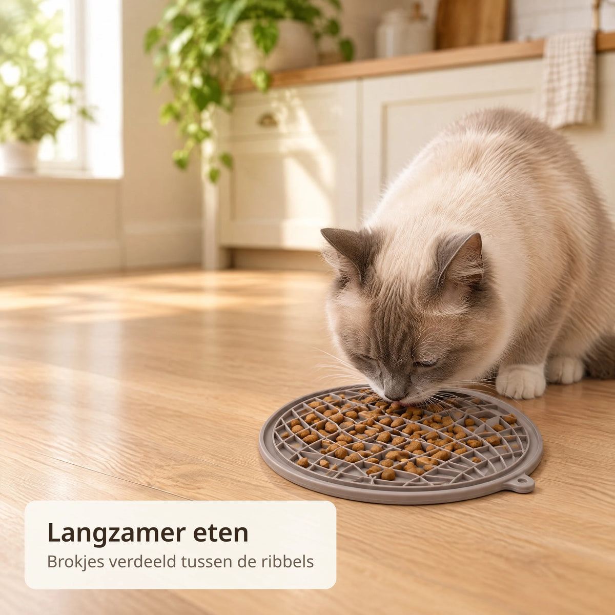 Kat eet brokjes van de grijze likmat die op de keukenvloer ligt