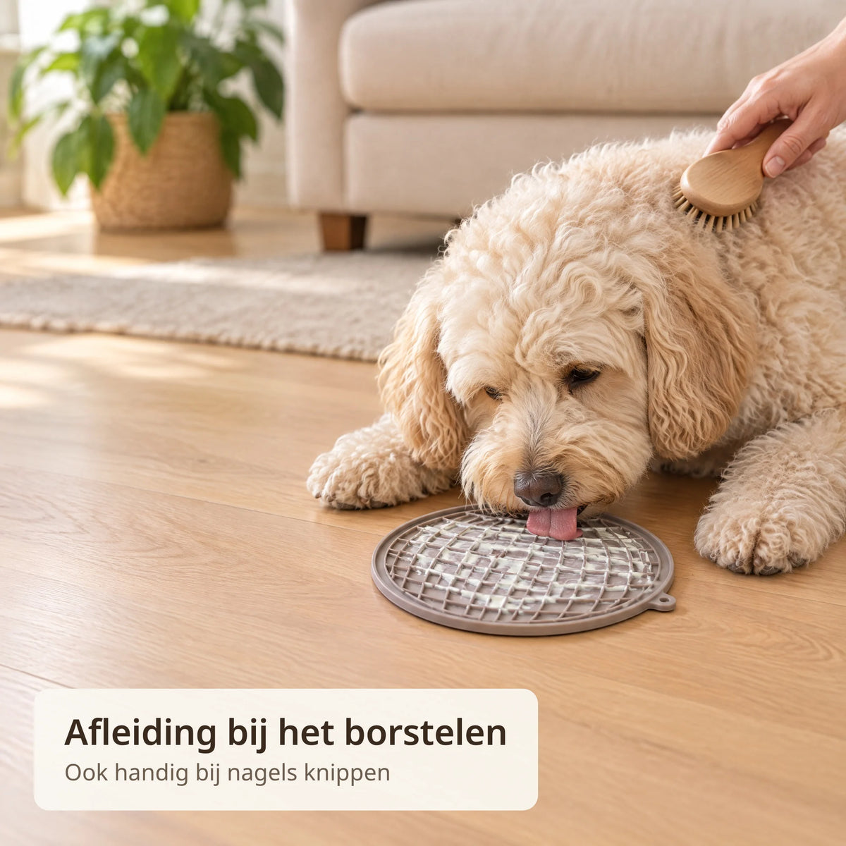 Hond likt aan de likmat op de vloer terwijl zijn vacht wordt geborsteld