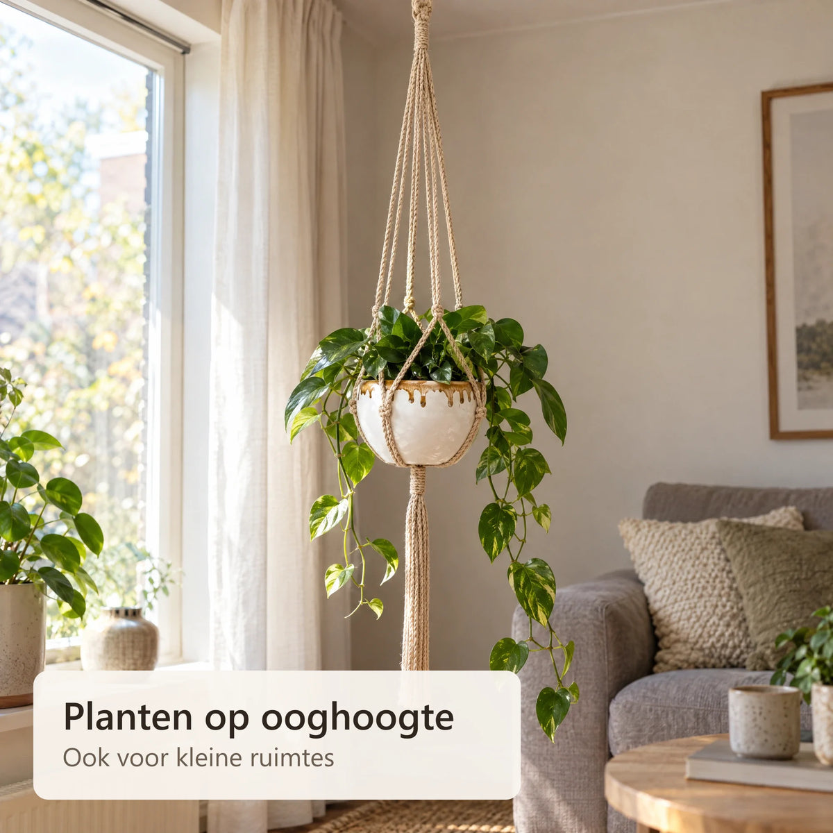 Macramé plantenhanger met hangplant in de woonkamer