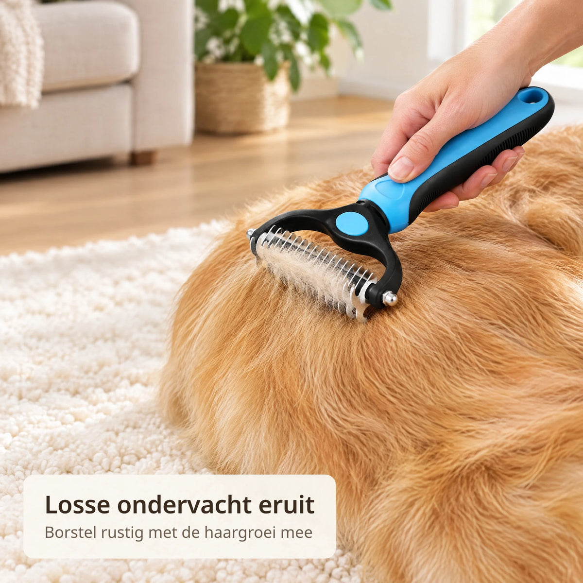 Hand haalt de ondervachtborstel door de lange vacht van een golden retriever, losse ondervacht blijft tussen de tanden hangen