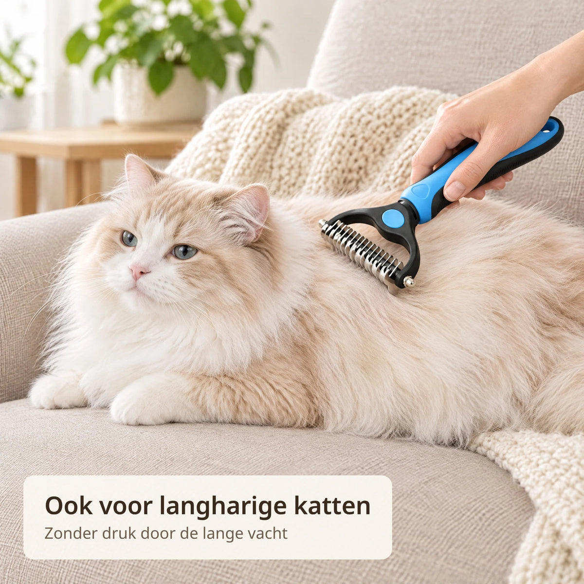 Langharige kat ligt op de bank en wordt geborsteld met de dubbelzijdige ondervachtborstel