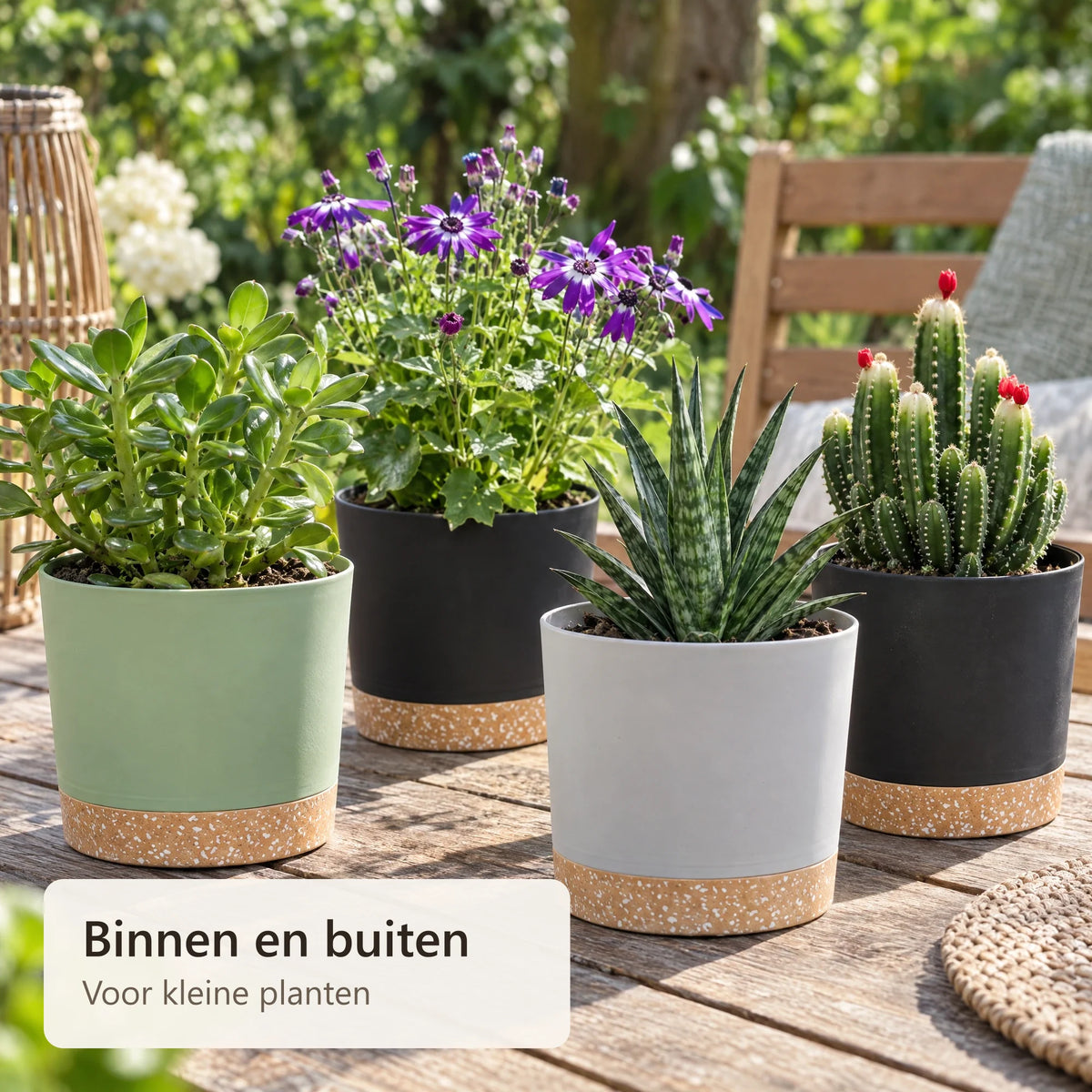 Plantenpotten met planten op een tuintafel