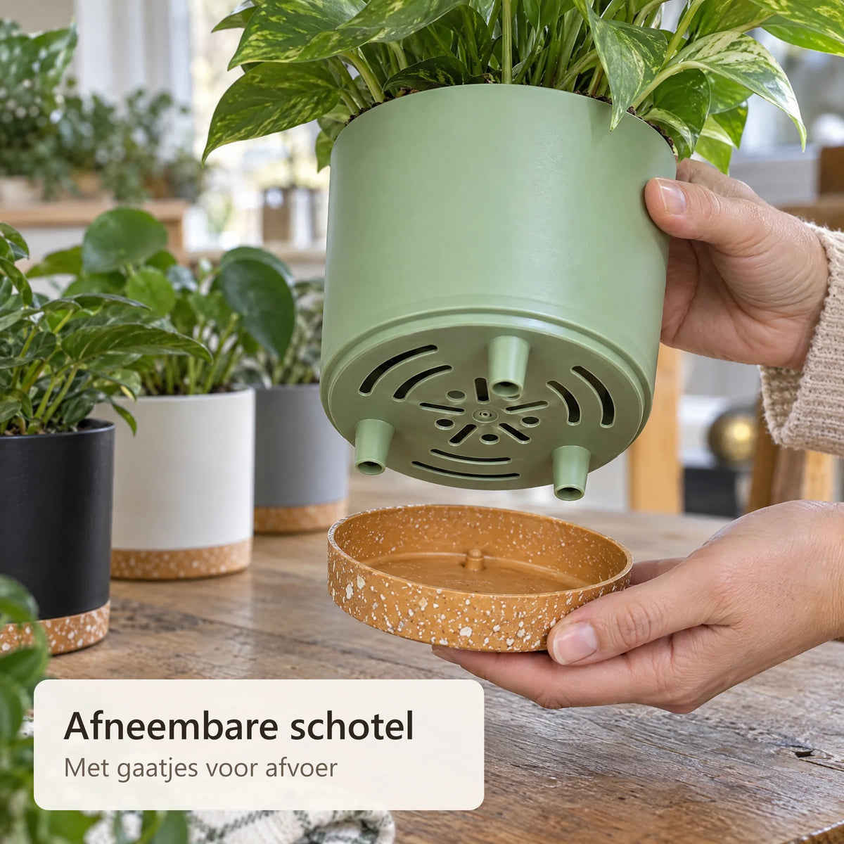 De afneembare schotel onder een groene pot