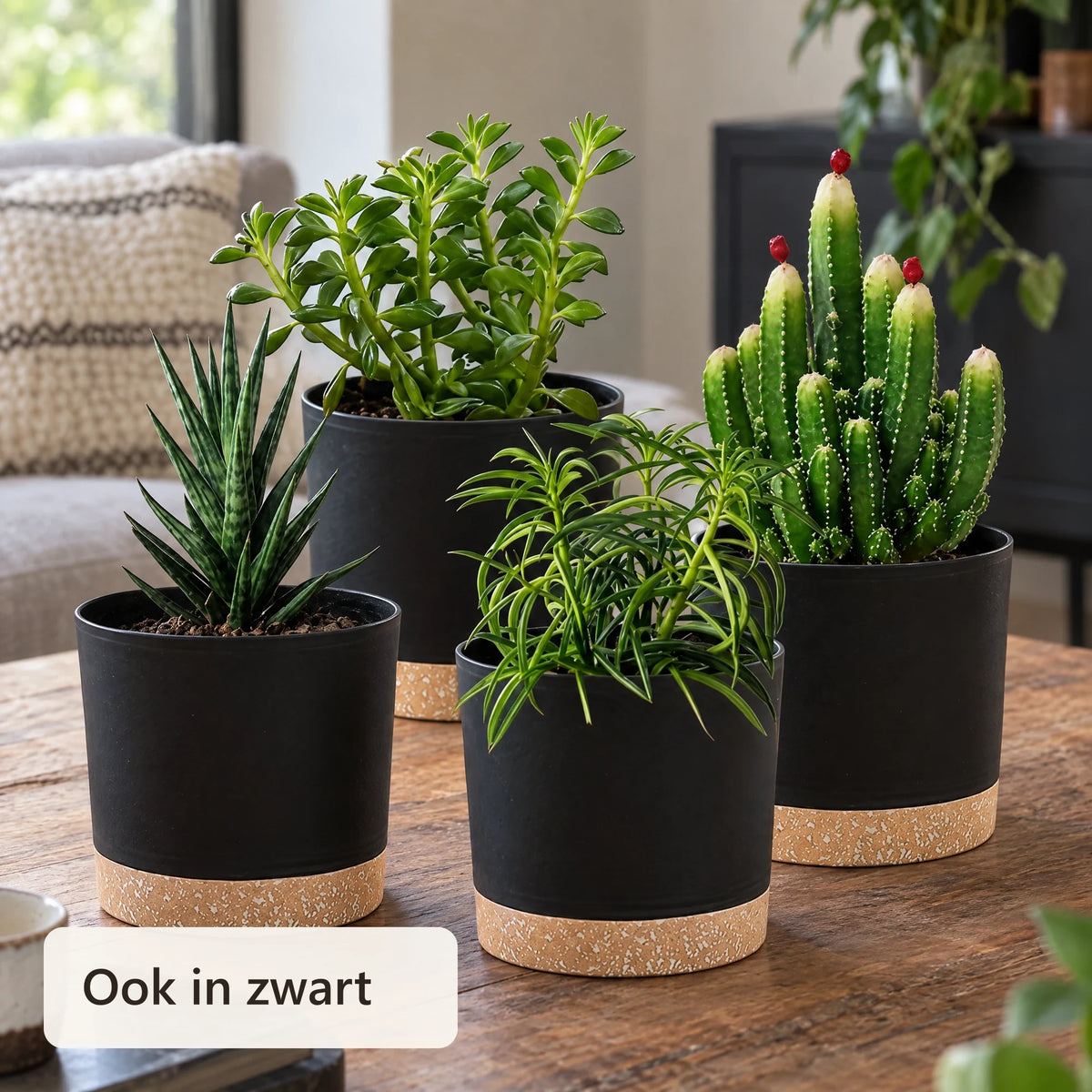 Vier zwarte plantenpotten met planten