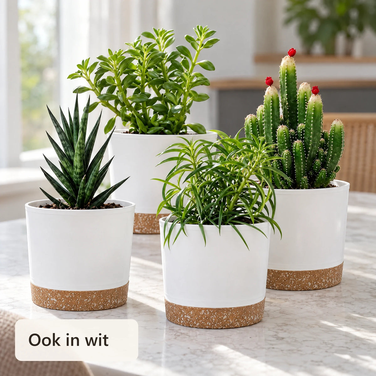 Vier witte plantenpotten met planten