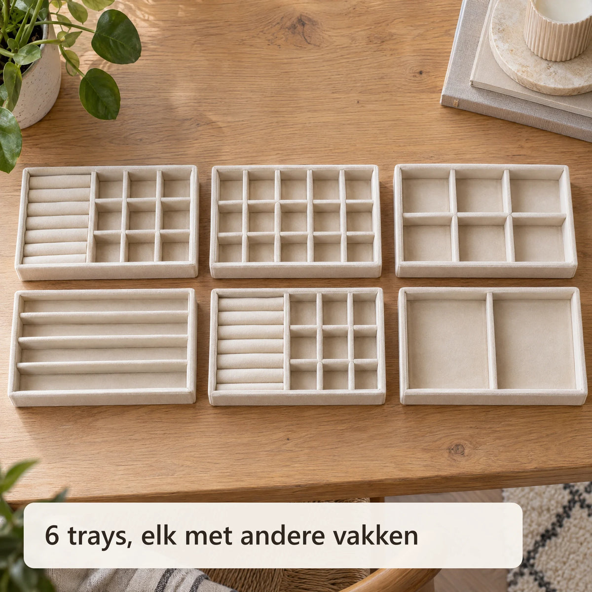 De zes lege sieradentrays met verschillende vakken