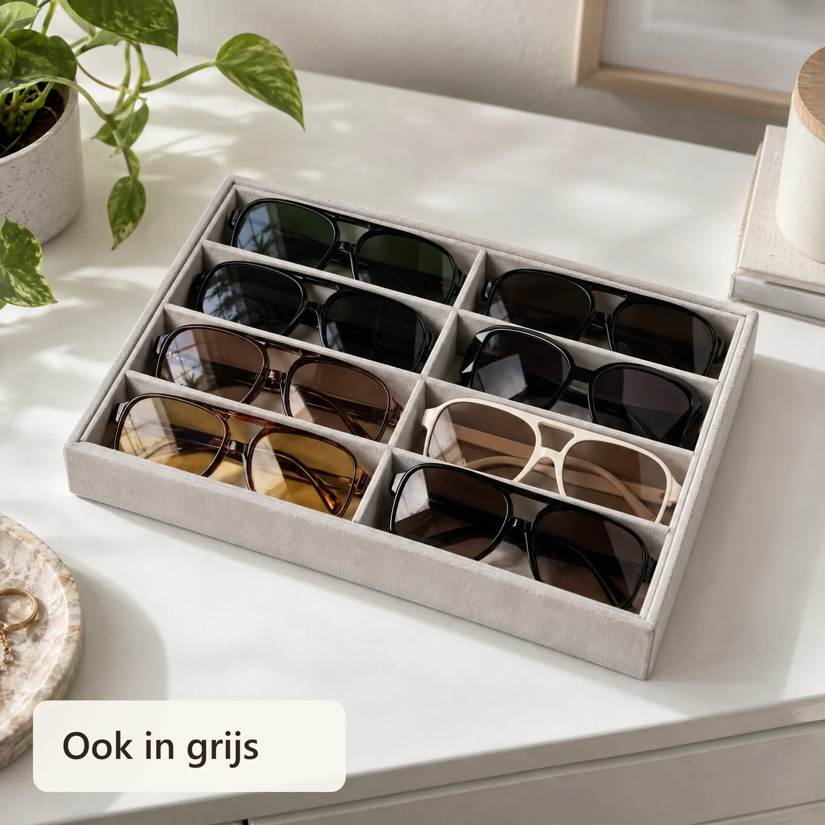 Grijze brillenorganizer met zonnebrillen